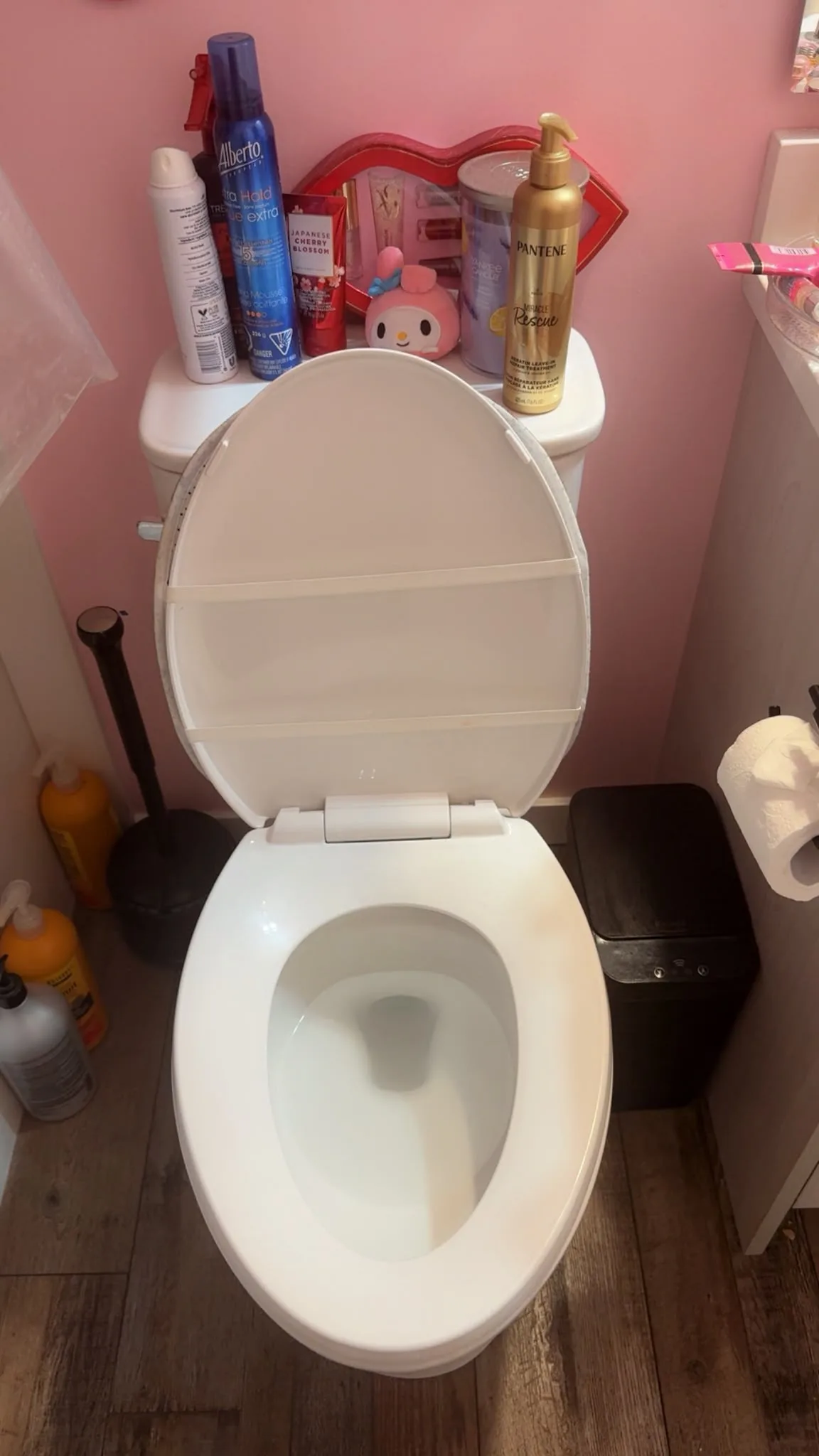 Toilet and bathroom cleaning before and after, after