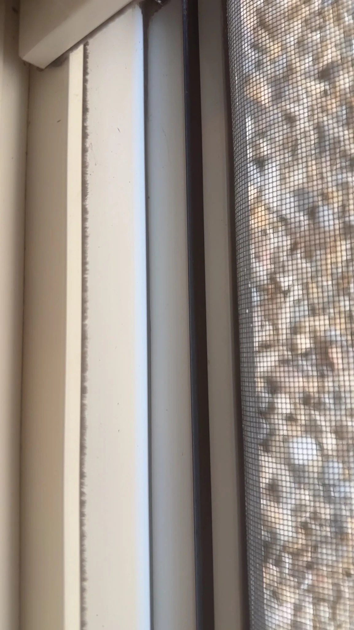Window track deep cleaning before and after, after